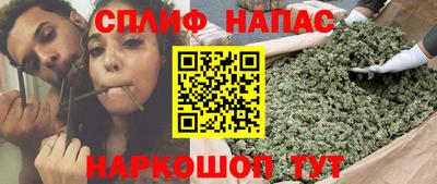 гашик Ливны