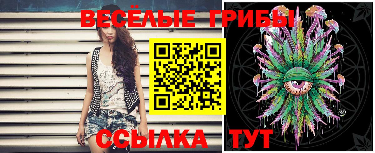 Галлюциногенные грибы ЛСД Тула